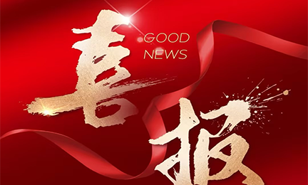 喜报丨爱游戏体育·（AYX）官方网站 - AYX SPORTS入选2024粤港澳大湾区企业创新力榜单